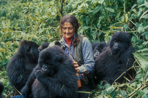 Bond da Conservação: Dian Fossey