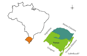 Biomas do Brasil: Dia Nacional do Pampa - GreenBond