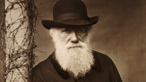 Dia de Darwin: Entenda por que os tentilhões levaram a grande descoberta de Darwin!